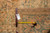 Tape measure and hand-woven oriental rug tag confirming the 11.2 x 16.5 measurement