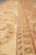 Perspective along the ivory border and paisley minor stripe against the cinnamon rust field