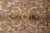 Close-up of gold vine scroll and multicolored palmettes woven into the soft mauve wool pile
