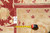 Back tag F-4302 and tape measure on the ivory border confirming 10 x 14.8 size