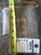 Back of the rug with tag reading 9 x 11.7, tape measure and cotton foundation