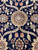 Macro of the olive and burgundy 8 petal rosette surrounded by ivory serrated leaves on black