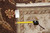 Back tag reading F-4311 with tape measure confirming the 9 x 12 foot rug size