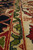 Macro shot of ivory main border with green vine guard stripe and dense wool pile