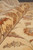 Rolled edge revealing dense pile depth and the even hand-knotted surface of wool and silk