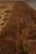 Border close-up showing rust guard stripe, olive vine scrolls and soft sheen of wool