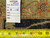Reverse side with inventory tag reading rug number 6529, size 9 x 12, beside measuring tape