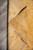 8'2" x 9'9" Ziegler rug folded back to reveal even knotting and cotton foundation