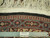 Ruler and authentic hand knotted tag beside the fringed kilim end and dark band