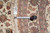 Tape measure and F-4040 tag on the 8'3" x 8'3" round Oriental rug border
