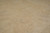 Beige reverse of the Peshawar rug showing even weave and faint horizontal fold creases