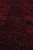 Multiple border stripes in black and red showing tribal vine and hooked leaf figures