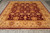 9' x 11'6" Ziegler design area rug angled view with golden palmettes and cream fringe