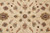 Detailed ivory field close-up with multicolor florets in rust, teal, sage and soft lilac