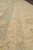 Beige border detail with pale teal guard stripes and delicate vinework running along the rug edge