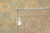 Back of rug with hang tag reading rug number 4196 and size 8'10 x 11'2