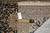 Back of the 3'7" x 5'2" rug with tape measure and original hand woven oriental rug tag
