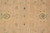 Peach tan field close-up with vine tracery, small blossoms and black outlined leaf cartouches