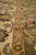 Border detail at an angle: ivory main band, gold guard stripe and dense floral drawing