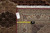 Dealer tag reading F3066 and tape measure laid on border confirming rug dimensions