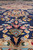 Close-up of navy field at floor level with coral rosettes, sky blue leaves and wool pile