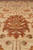 Floor-level view of a coral and gold palmette blooming on the sandy beige field