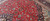 Red field covered in scrolling vines, palmettes and tiny rosettes across this 10x13 Kashan rug