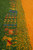 Tribal animal and plant motif row where the green panel meets the golden saffron stripe