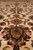 Field perspective highlighting symmetrical lotus palmettes, burgundy outlines and brown stems in plush pile