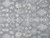 Close-up of soft gray wool pile showing ivory palmettes, rosettes and stylized leaf motifs