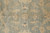 9' x 11'8" Chobi field detail with beige rosettes, scrolling vines and abrashed sage green ground