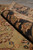 Rolled edge showing black border pile depth against the open olive green wool field