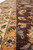 Macro of border transition, orange guard stripe between ivory border and eggplant brown field