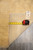 Back tag and tape measure confirming 7'11" x 9'11" on this hand-woven Oriental rug