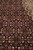 Ruby red field detail showing ivory four petal blossoms, blue florets and black herati outlines