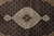 Close-up of the ivory lobed medallion and sage green core over dense black herati lattice