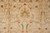8'3 x 11'6 Agra rug field detail with golden palmette, curling vines and red accents