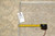 Rug tag number F-4321 and tape measure confirming the 8'1" x 9'7" size
