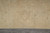 Border detail of faded Chobi wool rug with serrated leaf and curving vine drawing