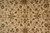 Detail of rosettes, serrated leaves and thin rust vines drawn over cream wool pile