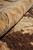 Rolled edge in close-up, pile depth visible where beige border meets the brown field