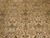 Close detail of the field: sage palmettes, burgundy outlines and fine scrolling vine on ivory