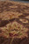 Low raking shot across the pile, palmette worked in garnet red, gold and olive
