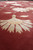 Ivory carnation bloom seen at floor level, silk highlights catching light on burgundy background