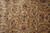 9x12 Jaipur rug field detail: all-over floral lattice with olive serrated leaves on beige