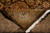 Jaipur 9x12 rug folded back to show thick wool pile and cotton fringe