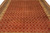 Straight-on view of the hand-knotted wool field, coral ground with beige scrolling trellis