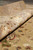 Rolled edge detail revealing dense wool pile with silk sheen along the ivory main border
