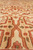 Angled field close-up showing natural color variation in golden tan palmette outlined in rust red