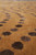 Low angle across the rug surface with chocolate brown dots curving into wave rows